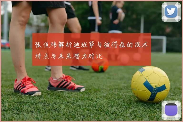 张佳玮解析迪班萨与彼得森的技术特点与未来潜力对比